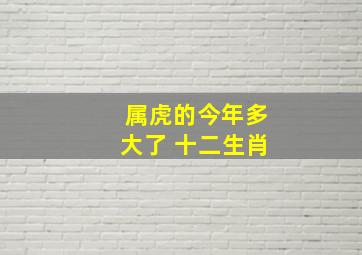 属虎的今年多大了 十二生肖